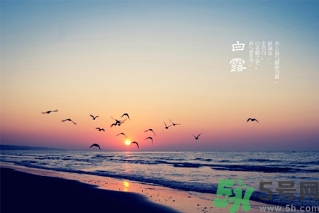 白露節(jié)吃什么？白露節(jié)的傳統(tǒng)美食有哪些？