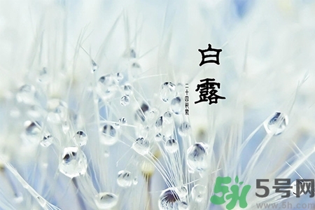 白露節(jié)吃什么？白露節(jié)的傳統(tǒng)美食有哪些？