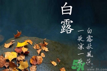 白露節(jié)吃什么？白露節(jié)的傳統(tǒng)美食有哪些？