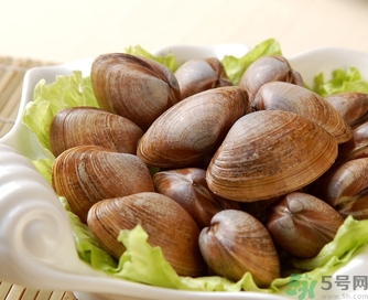 蛤蜊是發(fā)物嗎？手術(shù)后可以吃蛤蜊嗎？