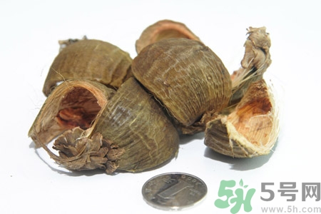 檳榔致癌嗎？檳榔對身體有什么影響嗎？