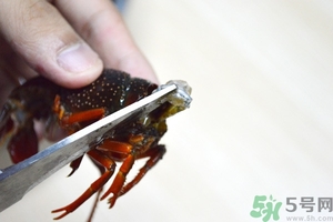 活蝦怎么處理干凈蝦線？活蝦怎么去蝦線？