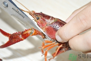 活蝦怎么處理干凈蝦線？活蝦怎么去蝦線？