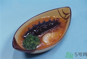 活海參怎么處理保存？活海參怎么處理才能吃？