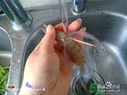 活蝦怎么處理干凈蝦線？活蝦怎么去蝦線？