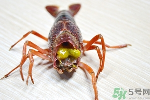 活蝦怎么處理干凈蝦線？活蝦怎么去蝦線？