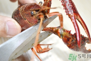 活蝦怎么處理干凈蝦線？活蝦怎么去蝦線？
