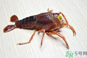 活蝦怎么處理干凈蝦線？活蝦怎么去蝦線？