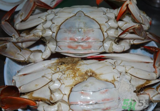 海蟹蒸多長時(shí)間？海蟹蒸多長時(shí)間最好吃？