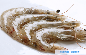海蝦怎么保存？活海蝦怎么保存？