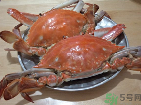 海蟹蒸多長時(shí)間？海蟹蒸多長時(shí)間最好吃？