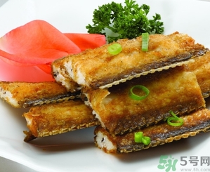 帶魚是發(fā)物嗎？手術(shù)后可以吃帶魚嗎？