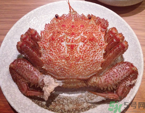 紅毛蟹怎么吃？紅毛蟹怎么做好吃？
