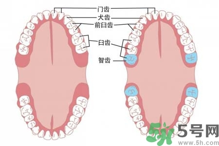 智齒橫著長怎么辦？智齒橫著長一定要拔了嗎？