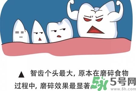 智齒橫著長怎么辦？智齒橫著長一定要拔了嗎？