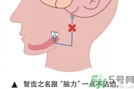 拔智齒一顆多少錢(qián)？拔除智齒收費(fèi)多少？