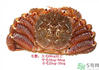毛蟹蒸多長(zhǎng)時(shí)間？毛蟹蒸多久會(huì)熟？