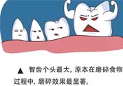 智齒拔了好不好？智齒能不拔嗎？