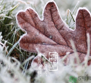 霜降是什么季節(jié)？霜降是秋天還是冬天？