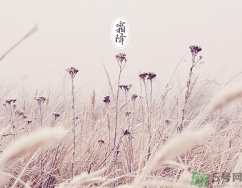 霜降是什么季節(jié)？霜降是秋天還是冬天？