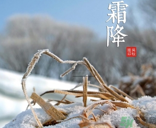 霜降出生的孩子好嗎？霜降出生的寶寶怎么取名？