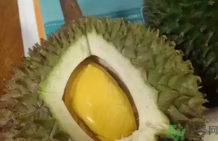 榴蓮吃多了會怎么樣？榴蓮吃多了好嗎？