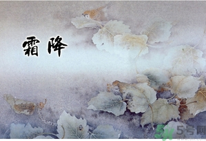 霜降為什么要吃柿子？霜降吃柿子有什么好處？