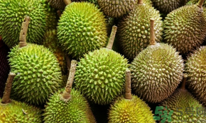 榴蓮可以冷凍保存嗎？榴蓮放冰箱是冷藏還是冷凍？