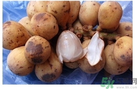 椰色果的功效作用 椰色果怎么吃？