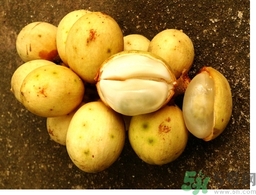 椰色果的功效作用 椰色果怎么吃？