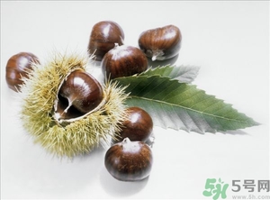 老人能喝板栗酒嗎？板栗怎么泡酒呢？