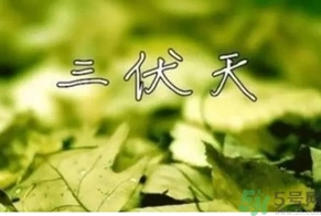 三伏天可以理發(fā)嗎？三伏天為什么不能理發(fā)？