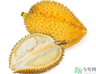 榴蓮早上吃還是晚上吃？早上吃榴蓮好嗎？