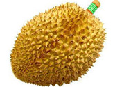 榴蓮放幾天能熟？榴蓮怎么催熟？