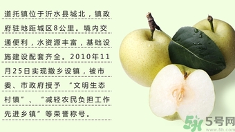 牛心果怎么吃？牛心果的功效和作用