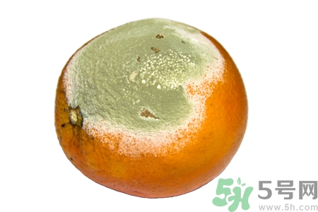 水果發(fā)霉了可以吃嗎？發(fā)霉的水果對(duì)人體有什么危害？