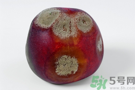 水果發(fā)霉了可以吃嗎？發(fā)霉的水果對(duì)人體有什么危害？