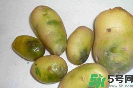 土豆發(fā)綠還能吃嗎？土豆發(fā)綠皮削皮后能吃嗎？