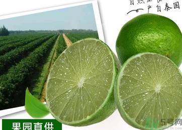 泰國檸檬怎么吃？泰國檸檬的功效作用