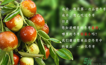 晚上吃棗子會(huì)胖嗎？晚上吃新鮮棗子會(huì)胖嗎？