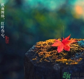 秋分做什么運(yùn)動(dòng)好？秋分運(yùn)動(dòng)注意事項(xiàng)