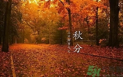 秋分做什么運(yùn)動(dòng)好？秋分運(yùn)動(dòng)注意事項(xiàng)