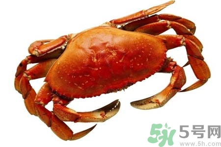 10月份吃螃蟹好嗎？10月份吃什么螃蟹？