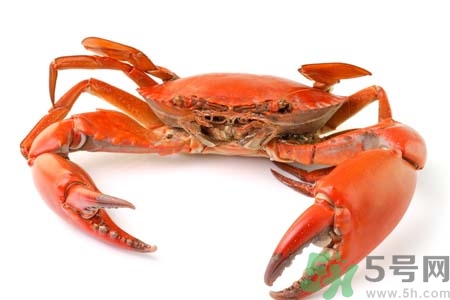 10月吃陽澄湖大閘蟹好嗎？大閘蟹怎么做好吃？