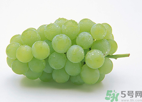 新鮮葡萄能放冰箱嗎？新鮮葡萄的保存方法