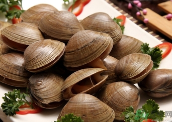 蜆子煮多長時間？蜆子怎么煮？