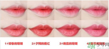 悅詩(shī)風(fēng)吟水韻凝采唇膏價(jià)格 悅詩(shī)風(fēng)吟水韻凝采唇膏怎么用？