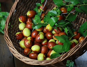 新鮮紅棗補(bǔ)血嗎？吃新鮮紅棗補(bǔ)血嗎？