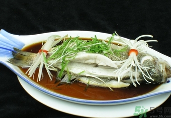 鱸魚是淡水魚還是海水魚？鱸魚是海魚嗎？