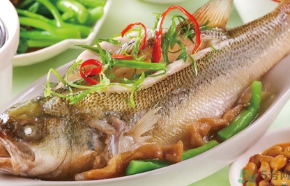 鱸魚和桂魚哪個(gè)好吃？鱸魚和桂魚的區(qū)別